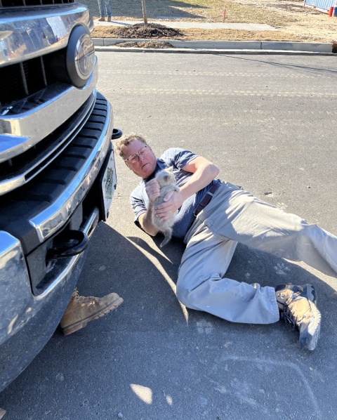 Construction Crew Leader rescues scared kitten from the inside of a truck